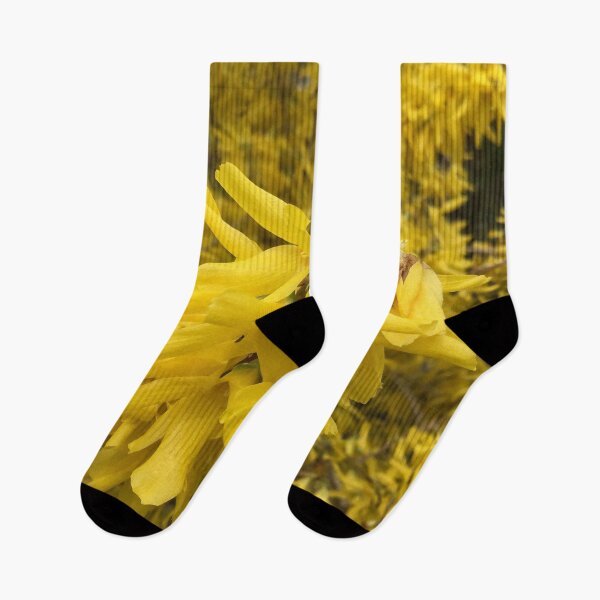 Item preview, Forsythia Blooms in the Spring designed and sold by CJRPics.