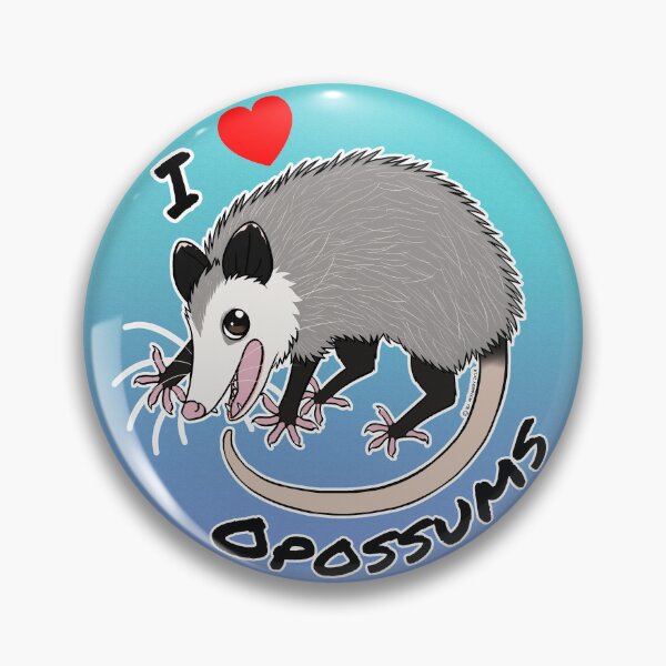 Weird and Wonderful World - I Love Opossums Pin
