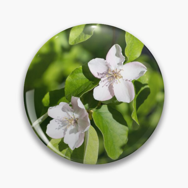 Item preview, Double Delight - Quince Tree Blossoms Amidst Velvety Green Leaves designed and sold by Georgia Mizuleva.