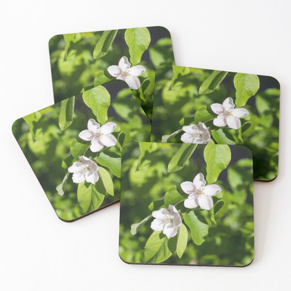 Item preview, Double Delight - Quince Tree Blossoms Amidst Velvety Green Leaves designed and sold by Georgia Mizuleva.