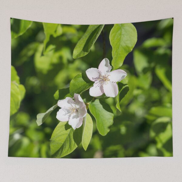 Item preview, Double Delight - Quince Tree Blossoms Amidst Velvety Green Leaves designed and sold by Georgia Mizuleva.