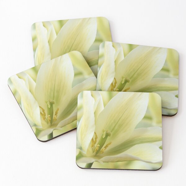 Item preview, Tulipa  'Greenstar'    Lily-flowered or Viridiflora Tulip designed and sold by Chris Burrows.