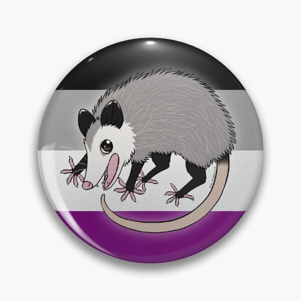 Weird and Wonderful World - Pride Opossum (Asexual) Pin