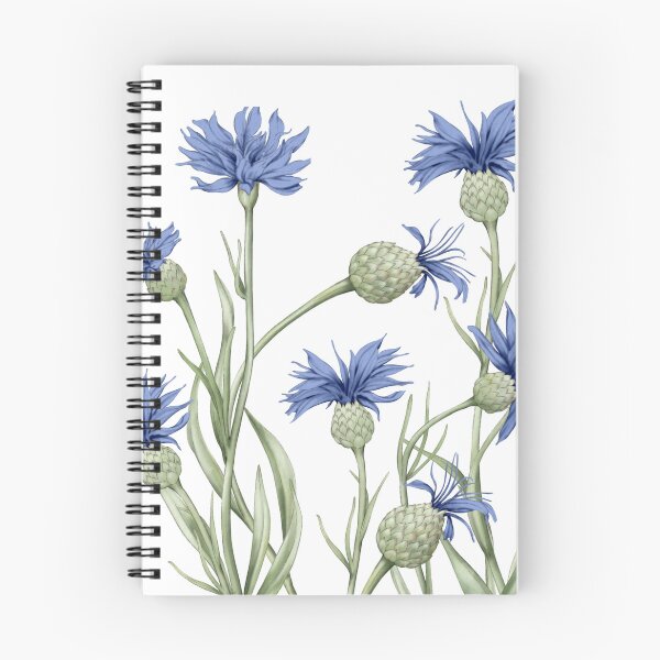 Item preview, Cornflowers (Centaurea cyanus) designed and sold by Biology-Hub.