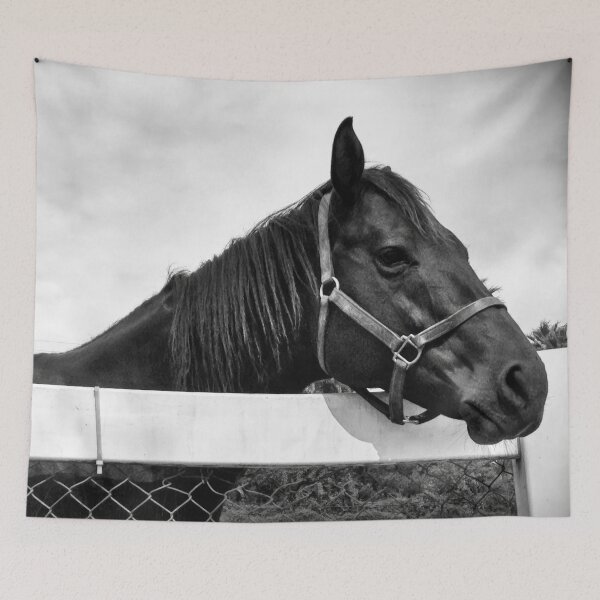 Item preview, Horse of Course designed and sold by ChakraMonkey.