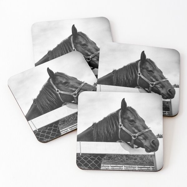 Item preview, Horse of Course designed and sold by ChakraMonkey.