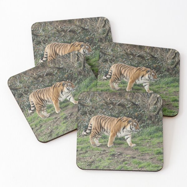Item preview, The Tiger's Silent Stroll designed and sold by Madcreat.