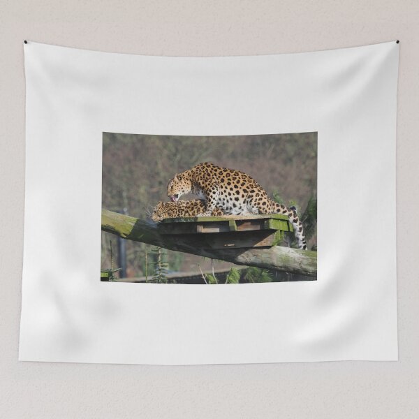 Item preview, Leopards basking in sunlight designed and sold by Madcreat.