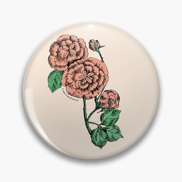 Item preview, Apricot Pompon Rose Bloom Double 16-25 Petals In 3+ Rows designed and sold by Rachael Taylor.