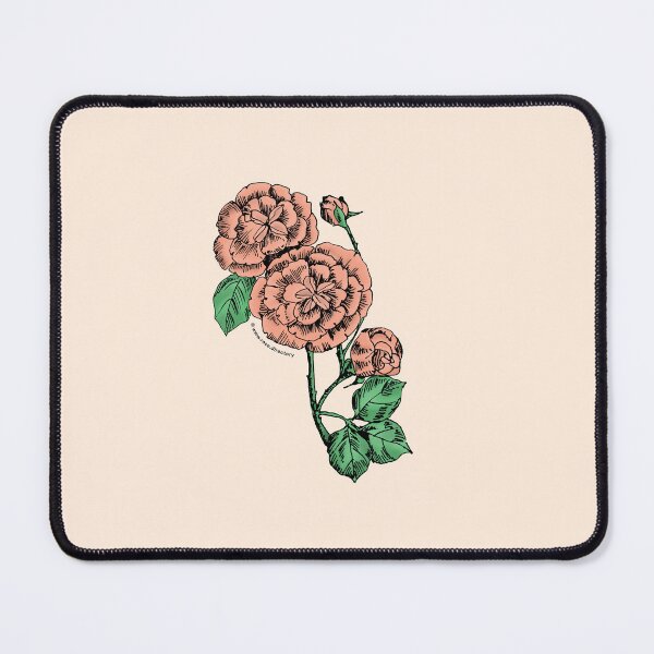 Item preview, Apricot Pompon Rose Bloom Double 16-25 Petals In 3+ Rows designed and sold by Rachael Taylor.