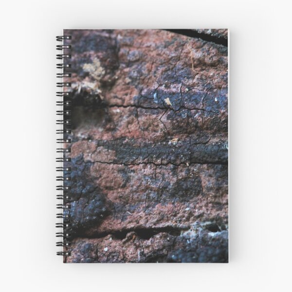 Item preview, Log designed and sold by Lydia Planalp.