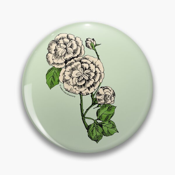 Item preview, Cream Pompon Rose Bloom Double 16-25 Petals In 3+ Rows designed and sold by Rachael Taylor.