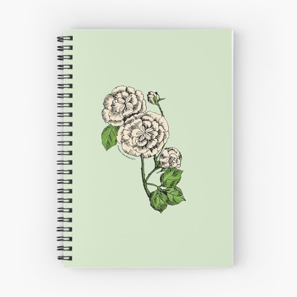Item preview, Cream Pompon Rose Bloom Double 16-25 Petals In 3+ Rows designed and sold by Rachael Taylor.