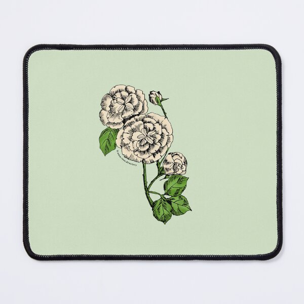 Item preview, Cream Pompon Rose Bloom Double 16-25 Petals In 3+ Rows designed and sold by Rachael Taylor.