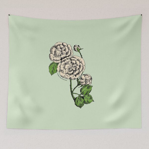 Item preview, Cream Pompon Rose Bloom Double 16-25 Petals In 3+ Rows designed and sold by zenithcreative.