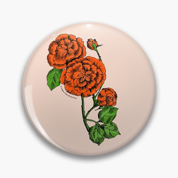Item preview, Orange Pompon Rose Bloom Double 16-25 Petals In 3+ Rows designed and sold by Rachael Taylor.