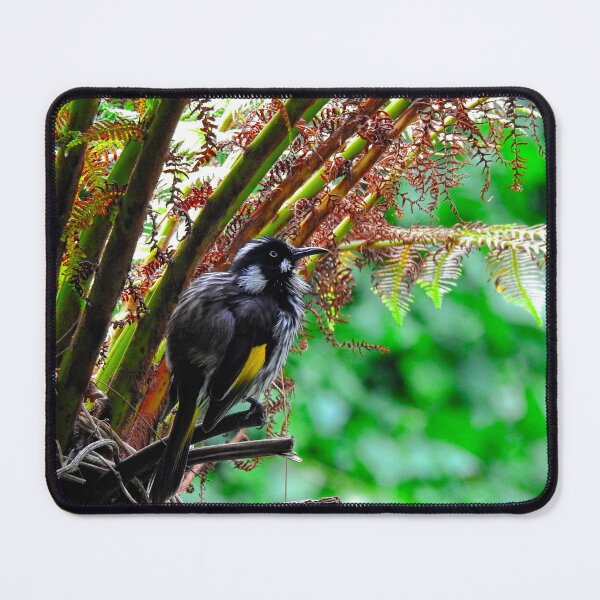 Item preview, Backyard Buddies Bird, Australia designed and sold by AussieAl.
