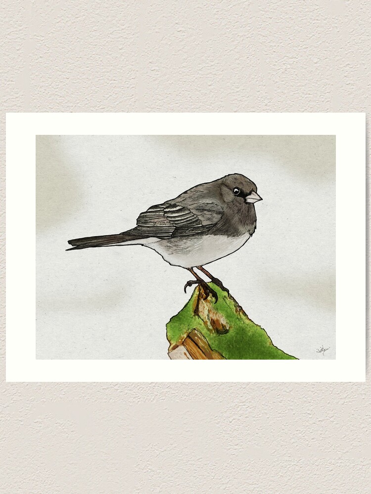 Alternate view of Dark-eyed Junco Art Print