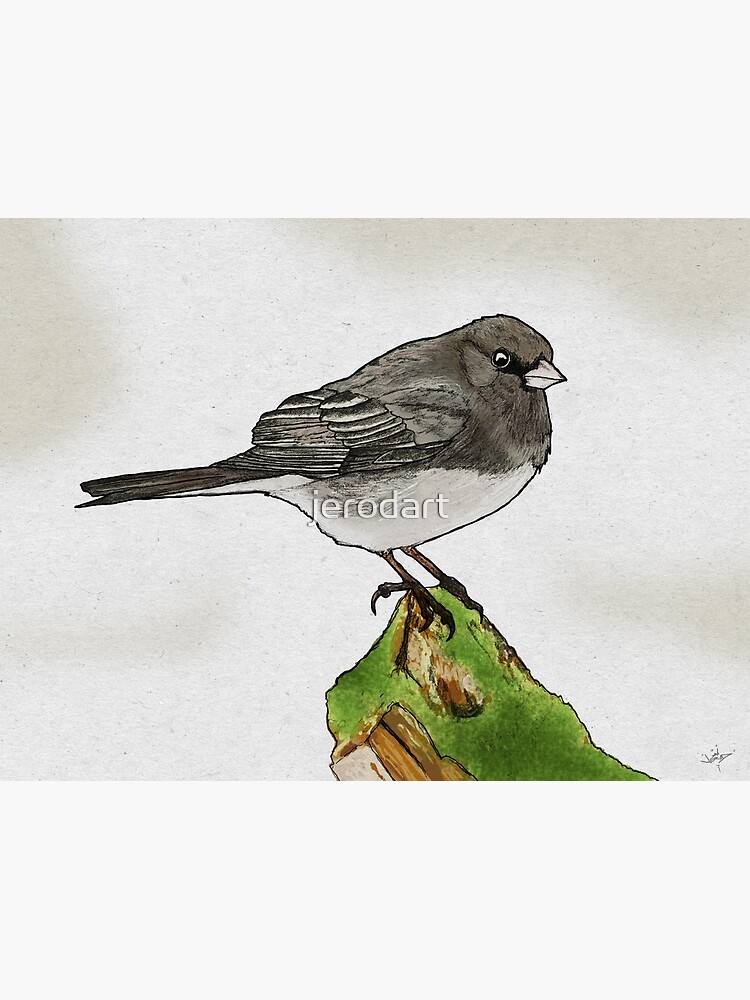 Dark-eyed Junco by jerodart