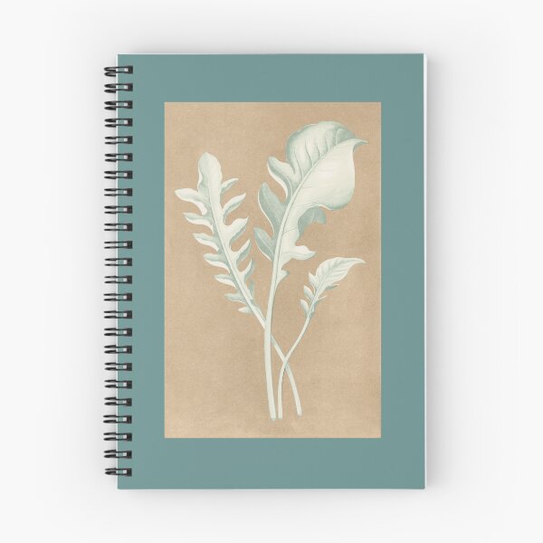 Item preview, Centaurea Candidissima leaves illustration by Alexander Francis Lydon & Benjamin Fawsett, from the 1865 edition of Les Plantes à Feuillage Coloré.  designed and sold by LunaMothDesigns.