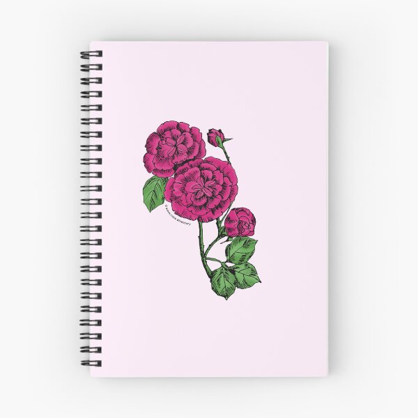 Item preview, Deep Pink Pompon Rose Bloom Double 16-25 Petals In 3+ Rows designed and sold by Rachael Taylor.