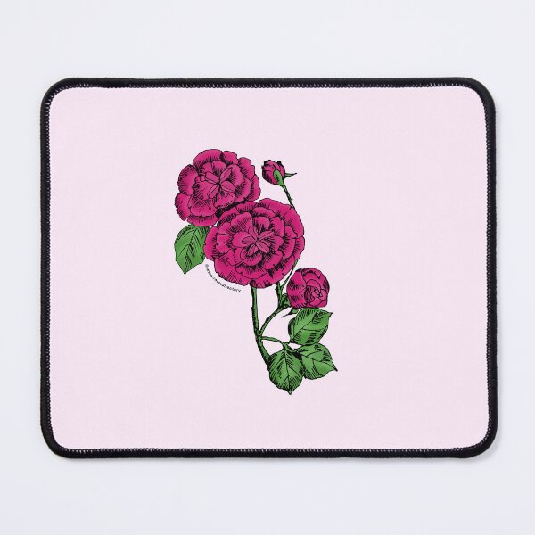 Item preview, Deep Pink Pompon Rose Bloom Double 16-25 Petals In 3+ Rows designed and sold by Rachael Taylor.