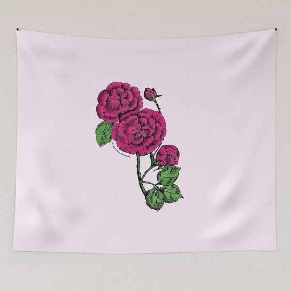 Item preview, Deep Pink Pompon Rose Bloom Double 16-25 Petals In 3+ Rows designed and sold by zenithcreative.