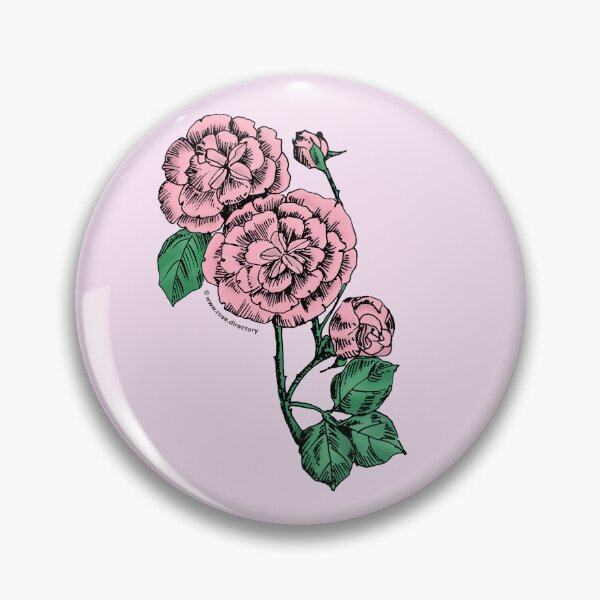 Item preview, Light Pink Pompon Rose Bloom Double 16-25 Petals In 3+ Rows designed and sold by Rachael Taylor.