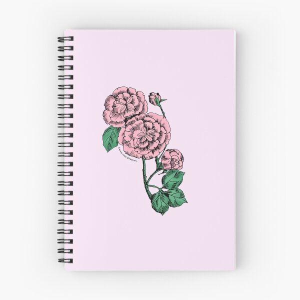 Item preview, Light Pink Pompon Rose Bloom Double 16-25 Petals In 3+ Rows designed and sold by Rachael Taylor.