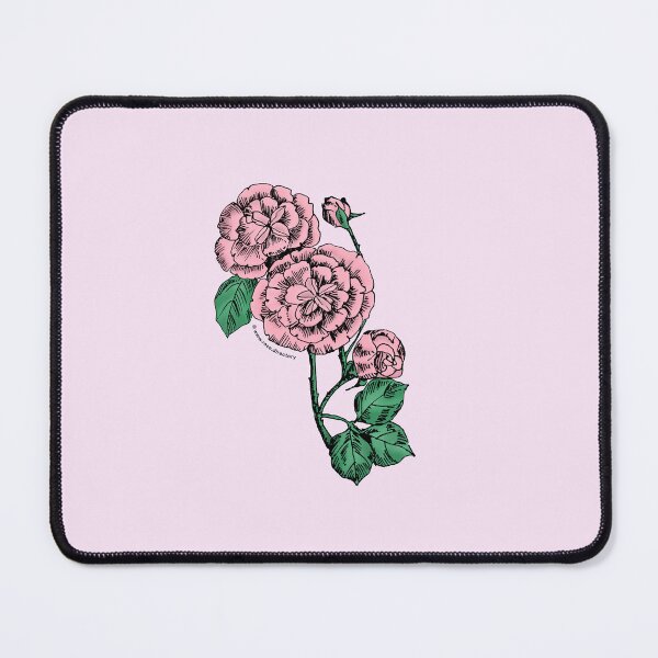 Item preview, Light Pink Pompon Rose Bloom Double 16-25 Petals In 3+ Rows designed and sold by Rachael Taylor.
