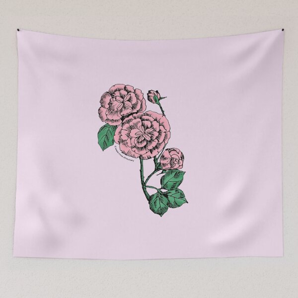 Item preview, Light Pink Pompon Rose Bloom Double 16-25 Petals In 3+ Rows designed and sold by zenithcreative.