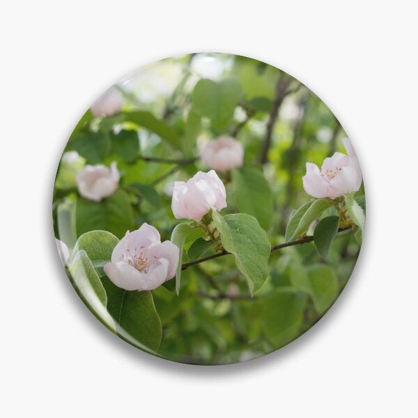 Item preview, Springtime Delight - Blossoming Quince Tree designed and sold by Georgia Mizuleva.