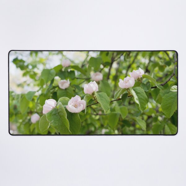 Item preview, Springtime Delight - Blossoming Quince Tree designed and sold by Georgia Mizuleva.