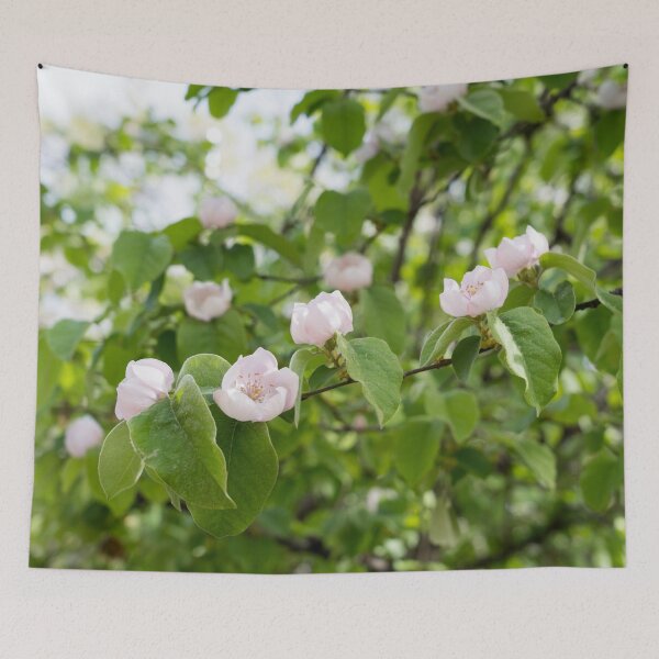 Item preview, Springtime Delight - Blossoming Quince Tree designed and sold by Georgia Mizuleva.