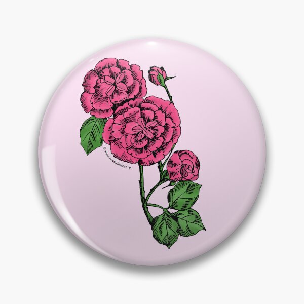 Item preview, Mid Pink Pompon Rose Bloom Double 16-25 Petals In 3+ Rows designed and sold by Rachael Taylor.