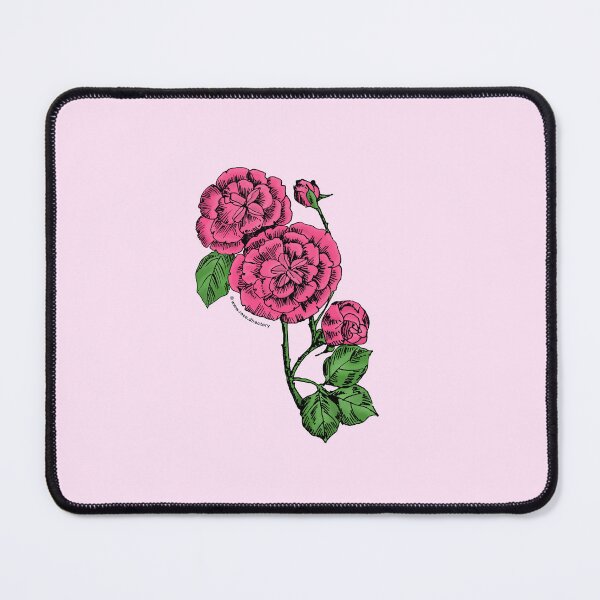 Item preview, Mid Pink Pompon Rose Bloom Double 16-25 Petals In 3+ Rows designed and sold by Rachael Taylor.
