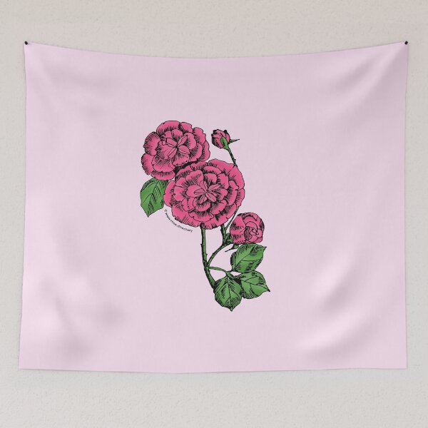Item preview, Mid Pink Pompon Rose Bloom Double 16-25 Petals In 3+ Rows designed and sold by zenithcreative.