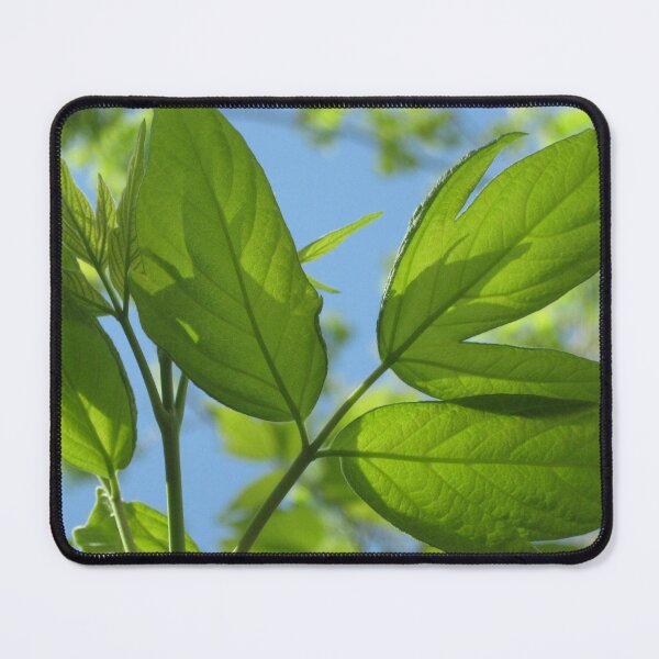Item preview, Spring designed and sold by efgracearts.