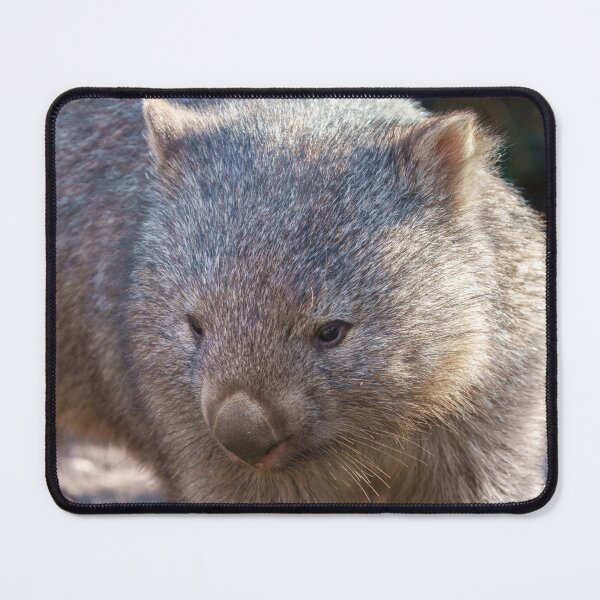 Item preview, Adorable Wombat designed and sold by rawshutterbug.