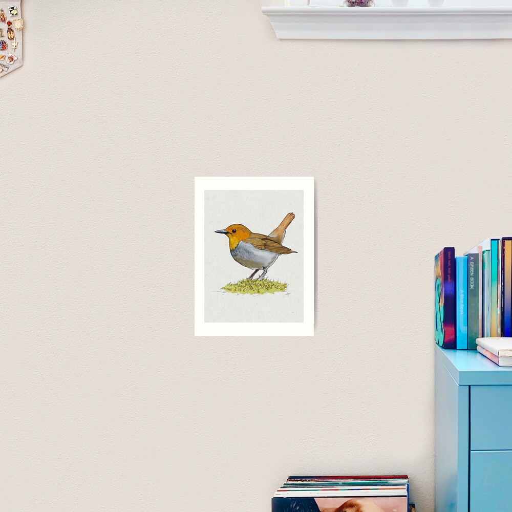 Japanese Robin Art Print
