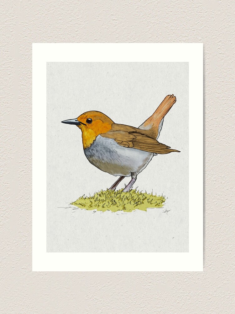 Alternate view of Japanese Robin Art Print