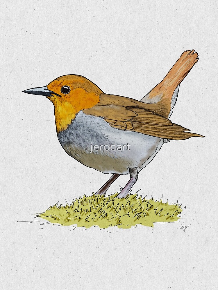 Japanese Robin by jerodart