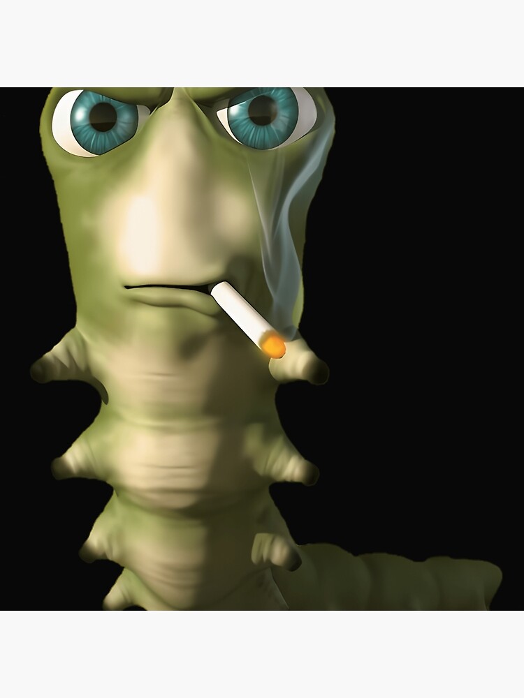 cigarette beetle in house How to Get Rid of Cigarette Beetles/Tobacco Beetles (4 Easy Steps)