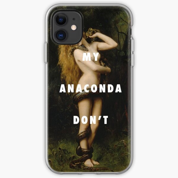 My Anaconda Don't Want None Unless You Got Buns Hun iPhone Soft Case