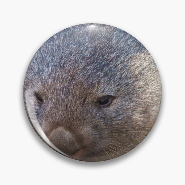 Item preview, Adorable Wombat designed and sold by rawshutterbug.