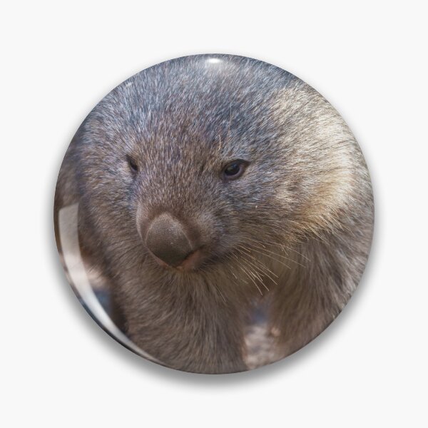 Item preview, Adorable Wombat designed and sold by rawshutterbug.