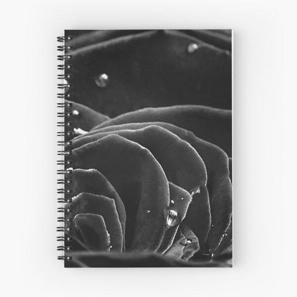 Aperçu de l'œuvre La rose noire créée et vendue par Elianne Turennout.