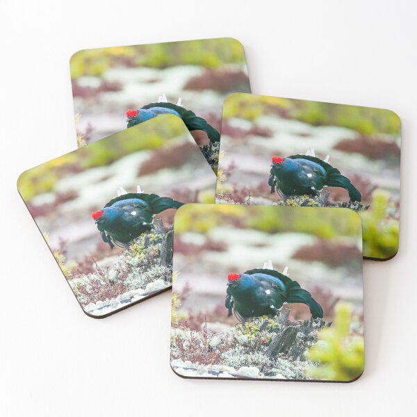 Item preview, Black grouse courting in the moss designed and sold by Ingo Gerlach.