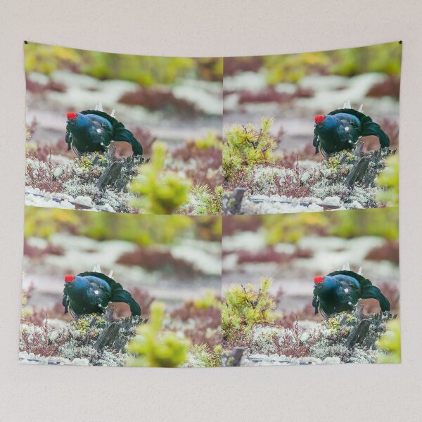 Item preview, Black grouse courting in the moss designed and sold by Ingo Gerlach.