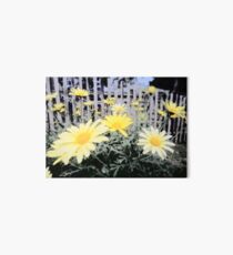 Yellow Daisies and Fence Art Board